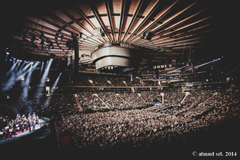 New York, December 17, 2014, photo by Luca Rossetti for Almud srl.