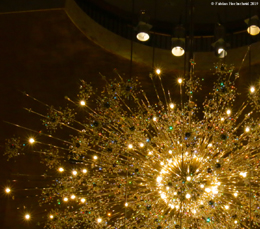 Metropolitan Opera New York City, Feb 2019, photo by F.Hochscheid